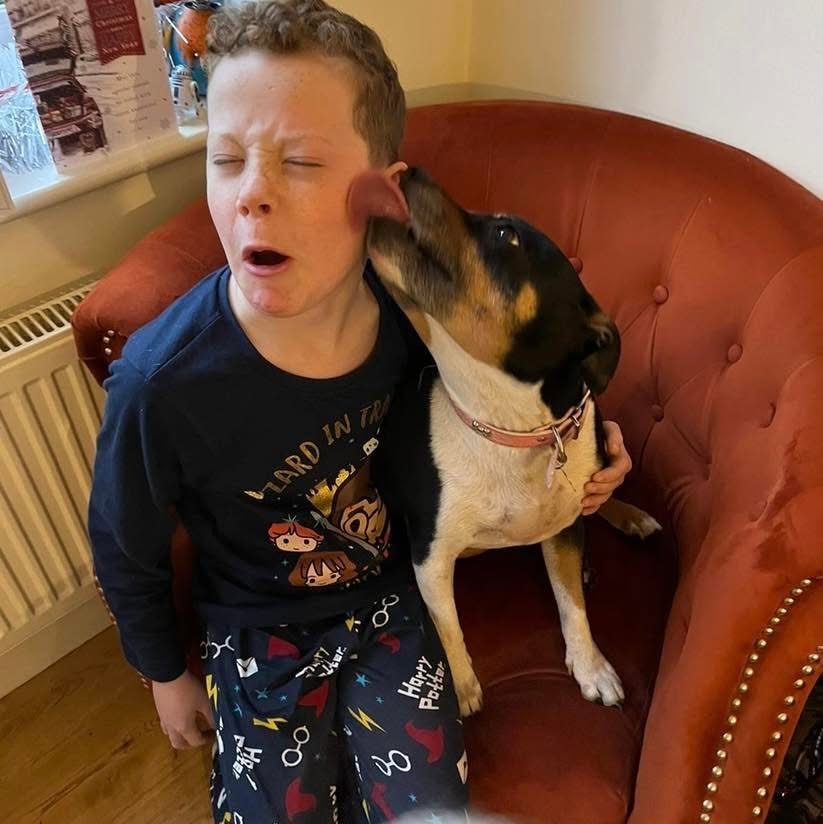 A child winces as a dog licks his face.